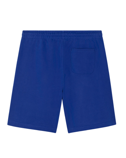 Ensemble Worker Blue- Not a fashion icon