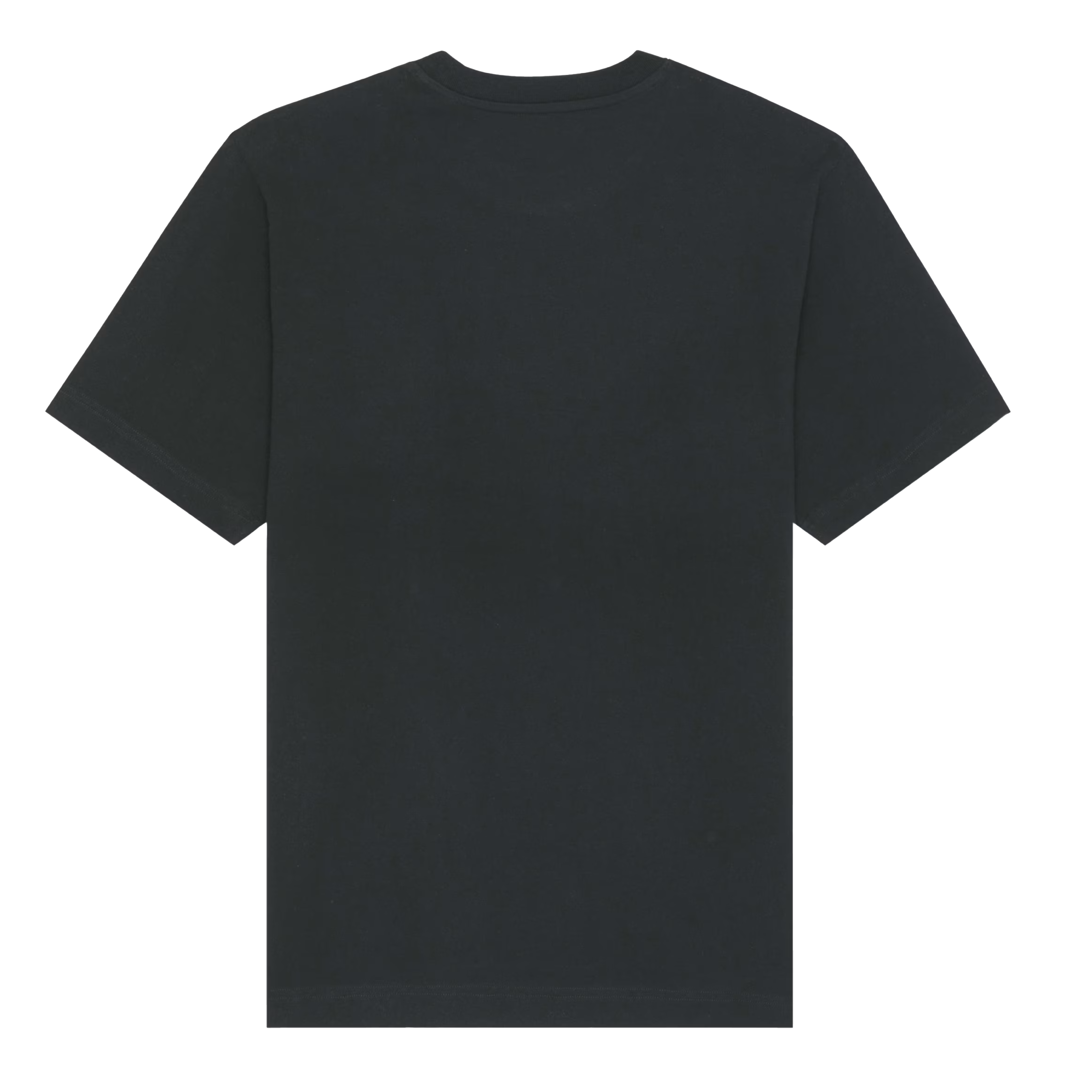 Tshirt Not an icon - Vignette edition